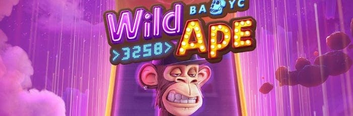 mrjack.bet apk download
